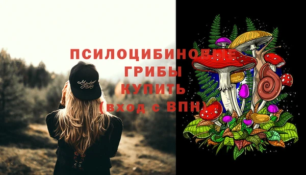 эйфоретик Горно-Алтайск