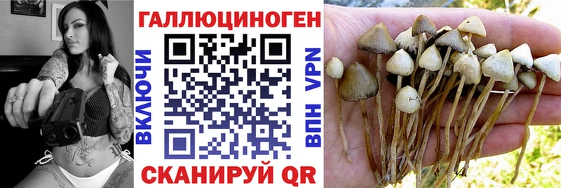 Галлюциногенные грибы Cubensis где купить Чкаловск